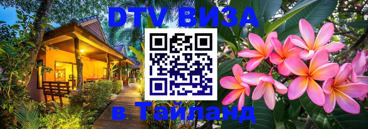 Оформление DTV визы под ключ: стоимость и тарифы, только загранпаспорт - 18.11.2025 